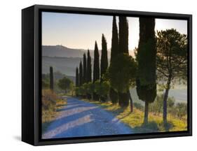 Country Road Towards Pienza, Val D' Orcia, Tuscany, Italy-Doug Pearson-Framed Stretched Canvas