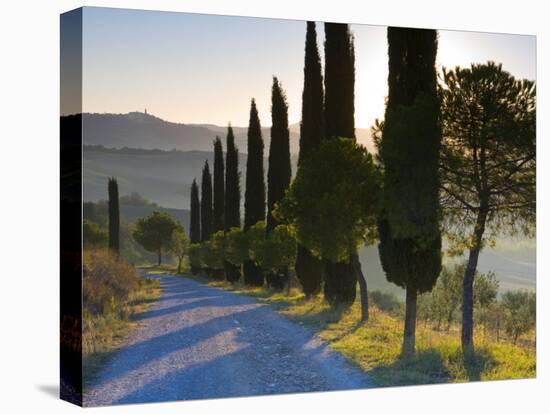 Country Road Towards Pienza, Val D' Orcia, Tuscany, Italy-Doug Pearson-Stretched Canvas