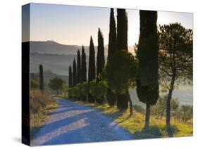 Country Road Towards Pienza, Val D' Orcia, Tuscany, Italy-Doug Pearson-Stretched Canvas