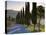 Country Road Towards Pienza, Val D' Orcia, Tuscany, Italy-Doug Pearson-Stretched Canvas