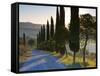 Country Road Towards Pienza, Val D' Orcia, Tuscany, Italy-Doug Pearson-Framed Stretched Canvas