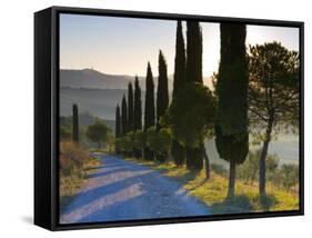 Country Road Towards Pienza, Val D' Orcia, Tuscany, Italy-Doug Pearson-Framed Stretched Canvas