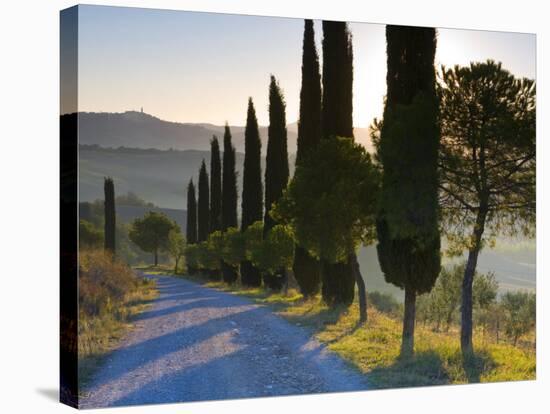 Country Road Towards Pienza, Val D' Orcia, Tuscany, Italy-Doug Pearson-Stretched Canvas