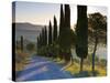 Country Road Towards Pienza, Val D' Orcia, Tuscany, Italy-Doug Pearson-Stretched Canvas