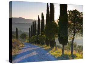 Country Road Towards Pienza, Val D' Orcia, Tuscany, Italy-Doug Pearson-Stretched Canvas