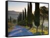 Country Road Towards Pienza, Val D' Orcia, Tuscany, Italy-Doug Pearson-Framed Stretched Canvas