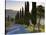 Country Road Towards Pienza, Val D' Orcia, Tuscany, Italy-Doug Pearson-Stretched Canvas