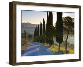 Country Road Towards Pienza, Val D' Orcia, Tuscany, Italy-Doug Pearson-Framed Photographic Print