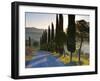 Country Road Towards Pienza, Val D' Orcia, Tuscany, Italy-Doug Pearson-Framed Photographic Print