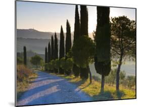 Country Road Towards Pienza, Val D' Orcia, Tuscany, Italy-Doug Pearson-Mounted Photographic Print