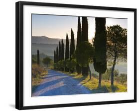 Country Road Towards Pienza, Val D' Orcia, Tuscany, Italy-Doug Pearson-Framed Photographic Print