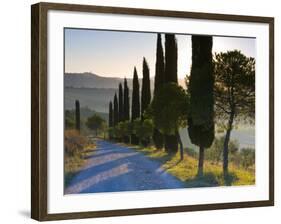 Country Road Towards Pienza, Val D' Orcia, Tuscany, Italy-Doug Pearson-Framed Photographic Print