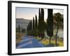 Country Road Towards Pienza, Val D' Orcia, Tuscany, Italy-Doug Pearson-Framed Photographic Print