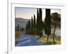 Country Road Towards Pienza, Val D' Orcia, Tuscany, Italy-Doug Pearson-Framed Photographic Print