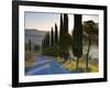 Country Road Towards Pienza, Val D' Orcia, Tuscany, Italy-Doug Pearson-Framed Photographic Print