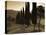 Country Road Towards Pienza, Val D' Orcia, Tuscany, Italy-Doug Pearson-Stretched Canvas