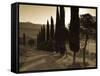 Country Road Towards Pienza, Val D' Orcia, Tuscany, Italy-Doug Pearson-Framed Stretched Canvas