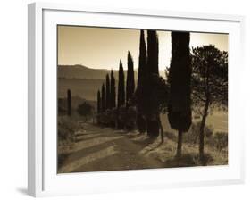 Country Road Towards Pienza, Val D' Orcia, Tuscany, Italy-Doug Pearson-Framed Photographic Print