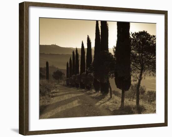 Country Road Towards Pienza, Val D' Orcia, Tuscany, Italy-Doug Pearson-Framed Photographic Print