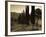 Country Road Towards Pienza, Val D' Orcia, Tuscany, Italy-Doug Pearson-Framed Photographic Print