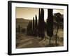 Country Road Towards Pienza, Val D' Orcia, Tuscany, Italy-Doug Pearson-Framed Photographic Print