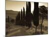 Country Road Towards Pienza, Val D' Orcia, Tuscany, Italy-Doug Pearson-Mounted Photographic Print