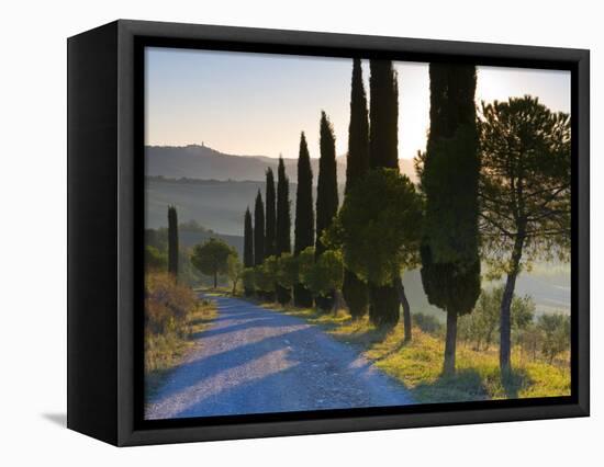 Country Road Towards Pienza, Val D' Orcia, Tuscany, Italy-Doug Pearson-Framed Stretched Canvas