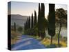 Country Road Towards Pienza, Val D' Orcia, Tuscany, Italy-Doug Pearson-Stretched Canvas