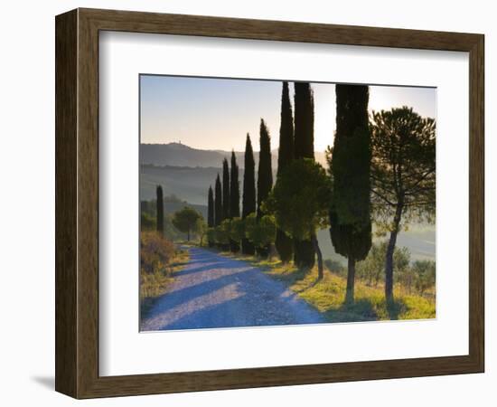 Country Road Towards Pienza, Val D' Orcia, Tuscany, Italy-Doug Pearson-Framed Photographic Print