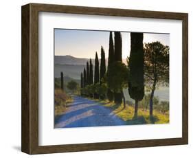 Country Road Towards Pienza, Val D' Orcia, Tuscany, Italy-Doug Pearson-Framed Photographic Print