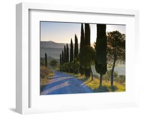 Country Road Towards Pienza, Val D' Orcia, Tuscany, Italy-Doug Pearson-Framed Photographic Print