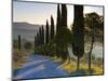 Country Road Towards Pienza, Val D' Orcia, Tuscany, Italy-Doug Pearson-Mounted Photographic Print