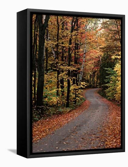 Country Road, Vermont, USA-Charles Sleicher-Framed Stretched Canvas