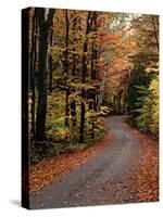 Country Road, Vermont, USA-Charles Sleicher-Stretched Canvas