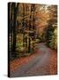 Country Road, Vermont, USA-Charles Sleicher-Stretched Canvas