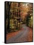 Country Road, Vermont, USA-Charles Sleicher-Framed Stretched Canvas