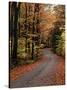 Country Road, Vermont, USA-Charles Sleicher-Stretched Canvas