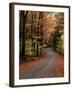 Country Road, Vermont, USA-Charles Sleicher-Framed Photographic Print