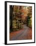 Country Road, Vermont, USA-Charles Sleicher-Framed Photographic Print