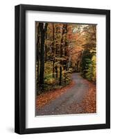 Country Road, Vermont, USA-Charles Sleicher-Framed Photographic Print