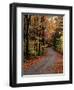 Country Road, Vermont, USA-Charles Sleicher-Framed Photographic Print