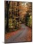 Country Road, Vermont, USA-Charles Sleicher-Mounted Photographic Print