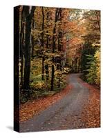 Country Road, Vermont, USA-Charles Sleicher-Stretched Canvas