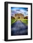 Country Road With Blooming Trees, New Jersey-George Oze-Framed Photographic Print