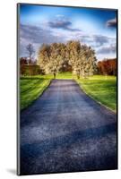 Country Road With Blooming Trees, New Jersey-George Oze-Mounted Photographic Print