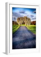 Country Road With Blooming Trees, New Jersey-George Oze-Framed Photographic Print