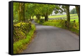 Country Road, Yorkshire Dales National Park, Yorkshire, England, United Kingdom, Europe-Miles Ertman-Framed Stretched Canvas