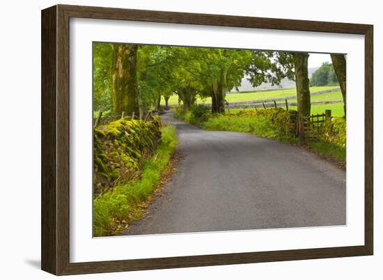 Country Road, Yorkshire Dales National Park, Yorkshire, England, United Kingdom, Europe-Miles Ertman-Framed Photographic Print