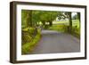 Country Road, Yorkshire Dales National Park, Yorkshire, England, United Kingdom, Europe-Miles Ertman-Framed Photographic Print