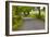 Country Road, Yorkshire Dales National Park, Yorkshire, England, United Kingdom, Europe-Miles Ertman-Framed Photographic Print